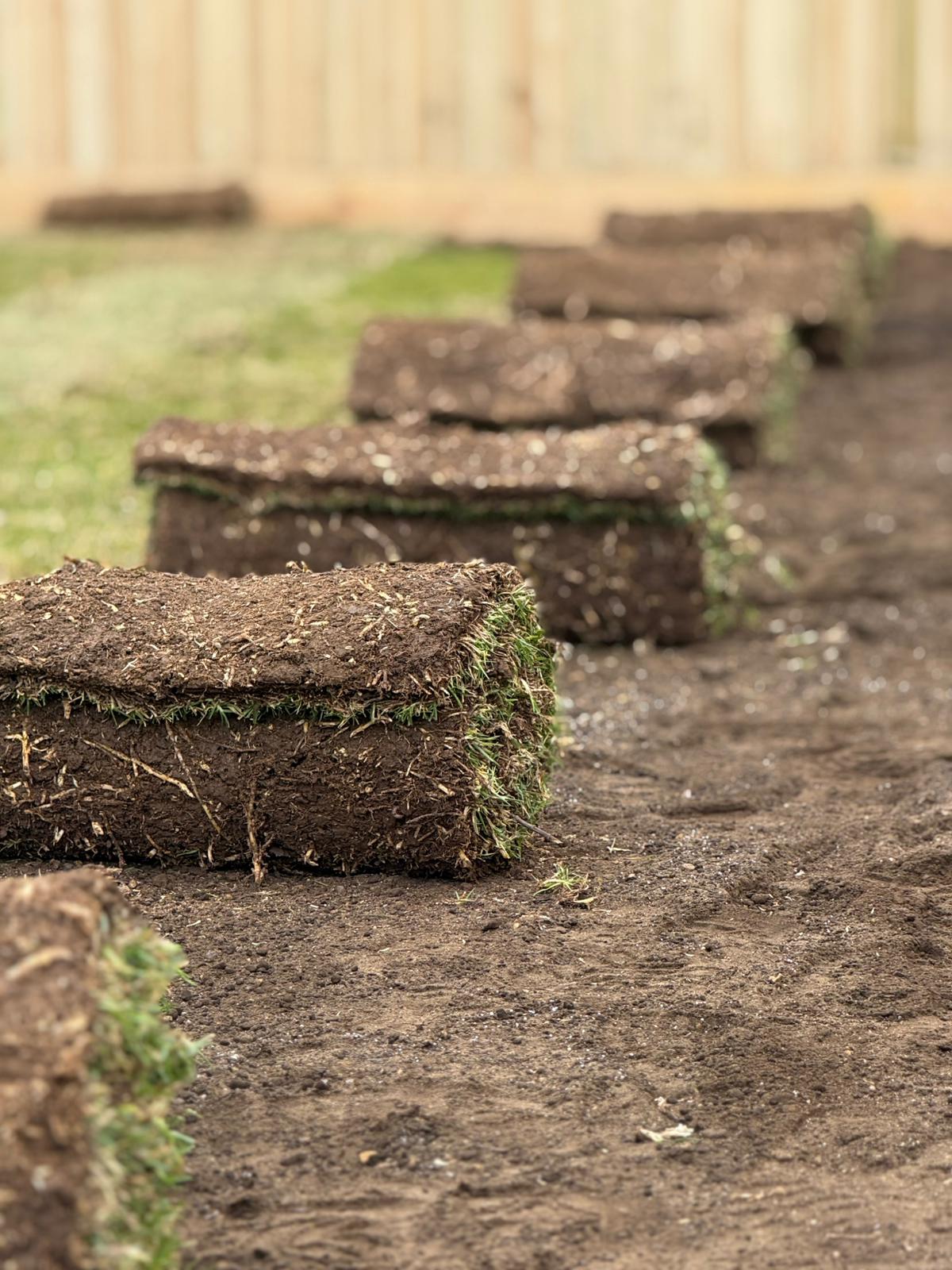 Natural grass lawn installation by Melbourne landscapers